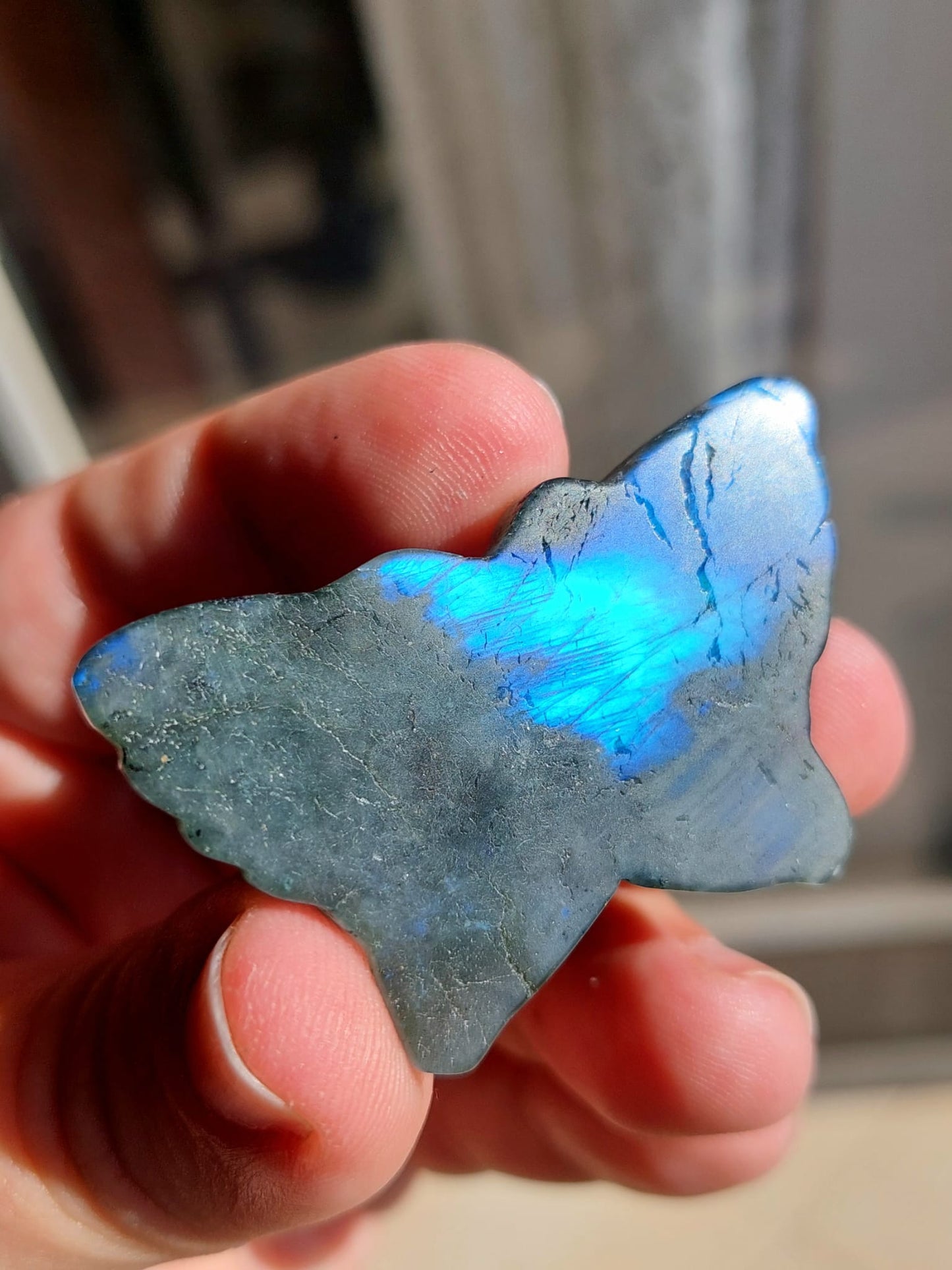 Labradorite farfalla - 5 cm