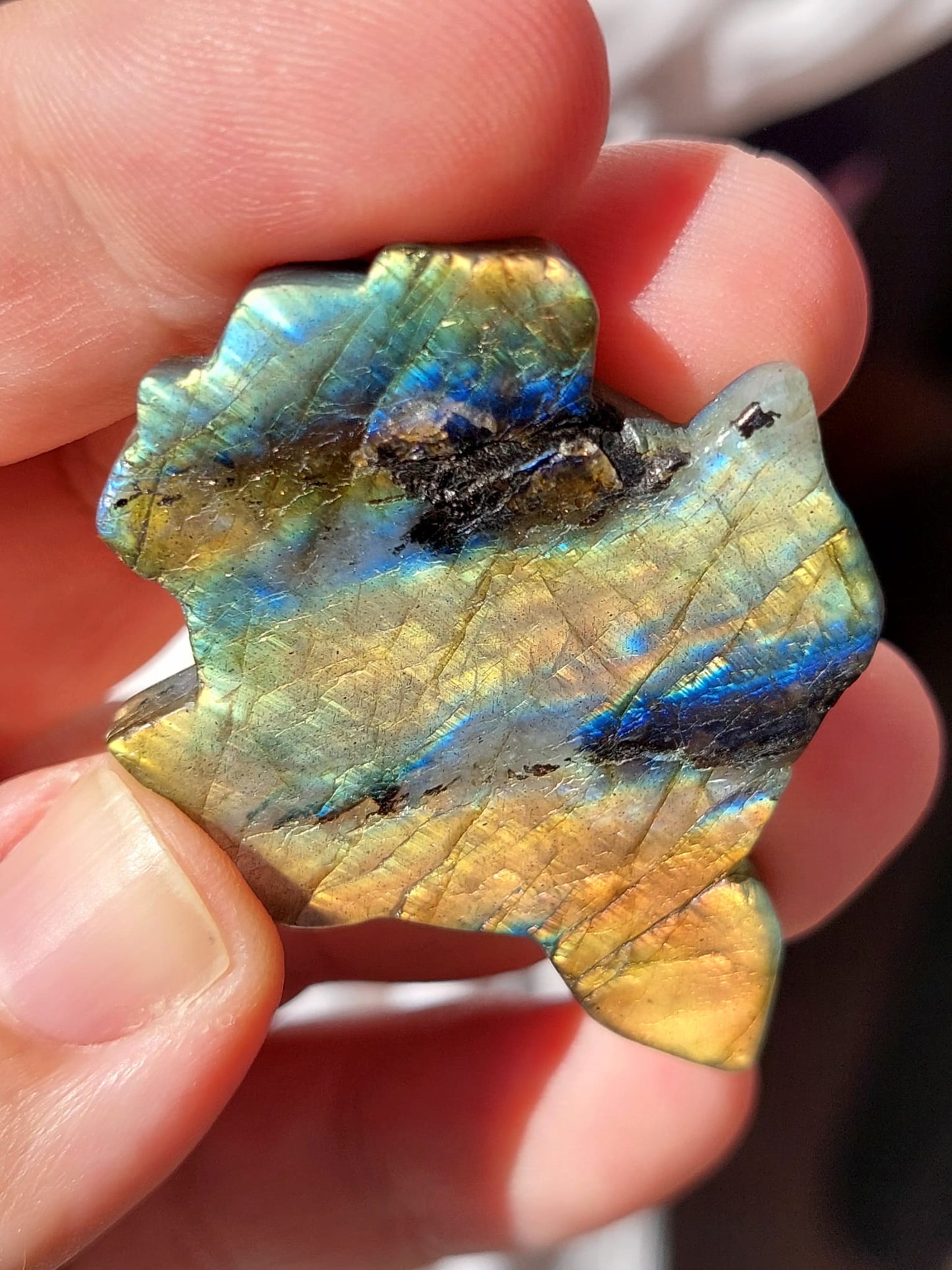 Labradorite mini tartaruga - 4,7 cm