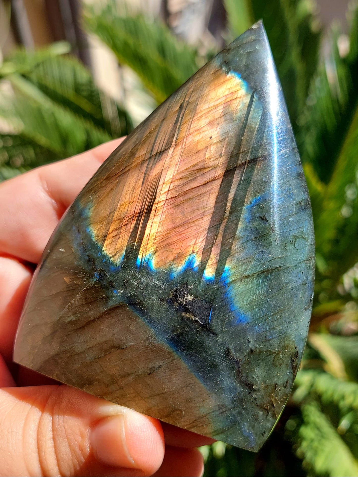 Labradorite freeform