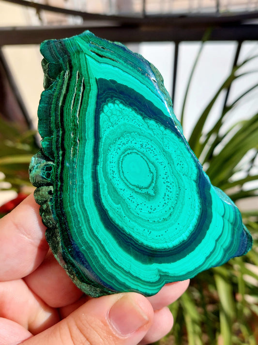 Fetta Malachite