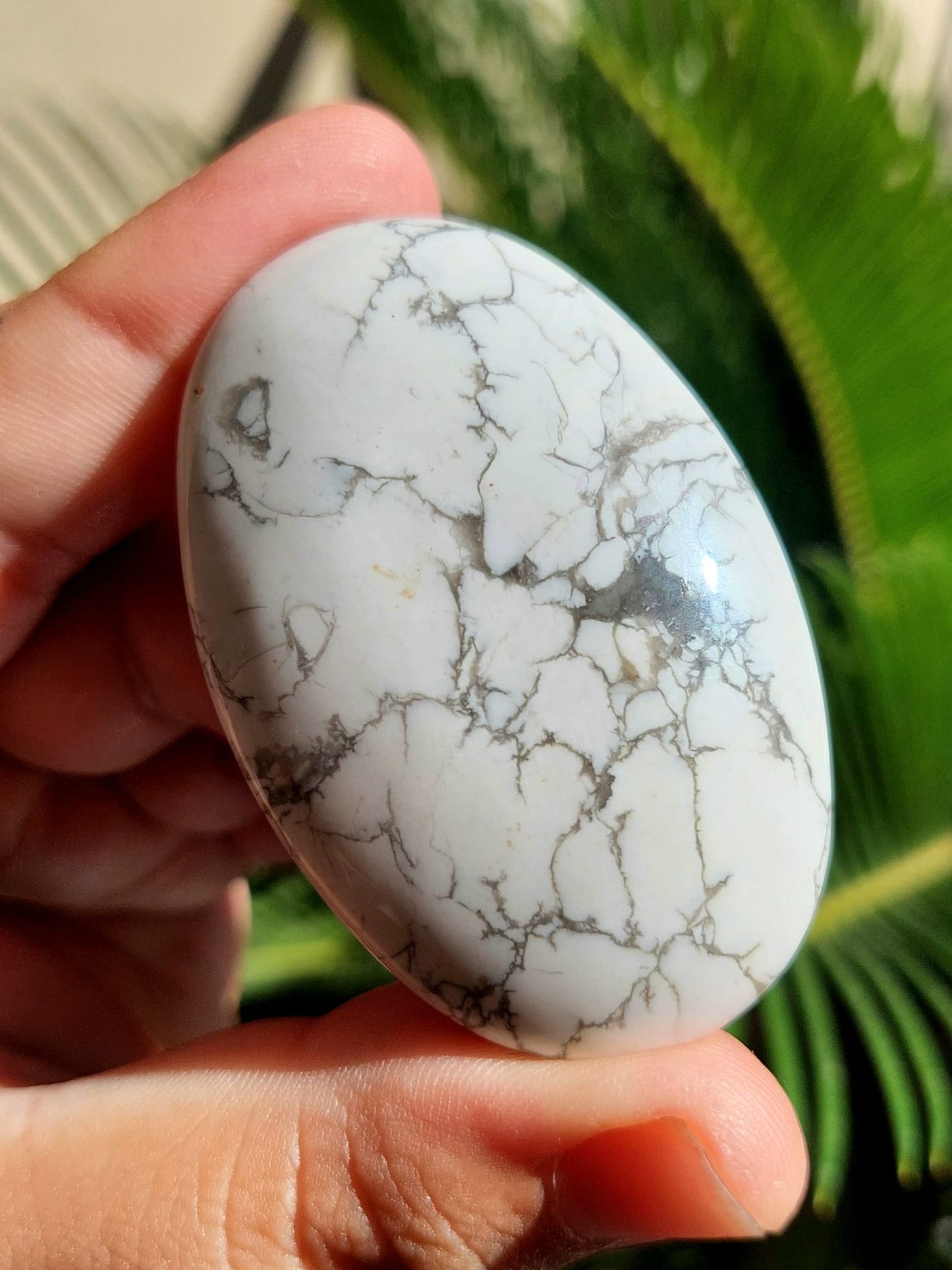 Howlite palmstone - 1 Pz