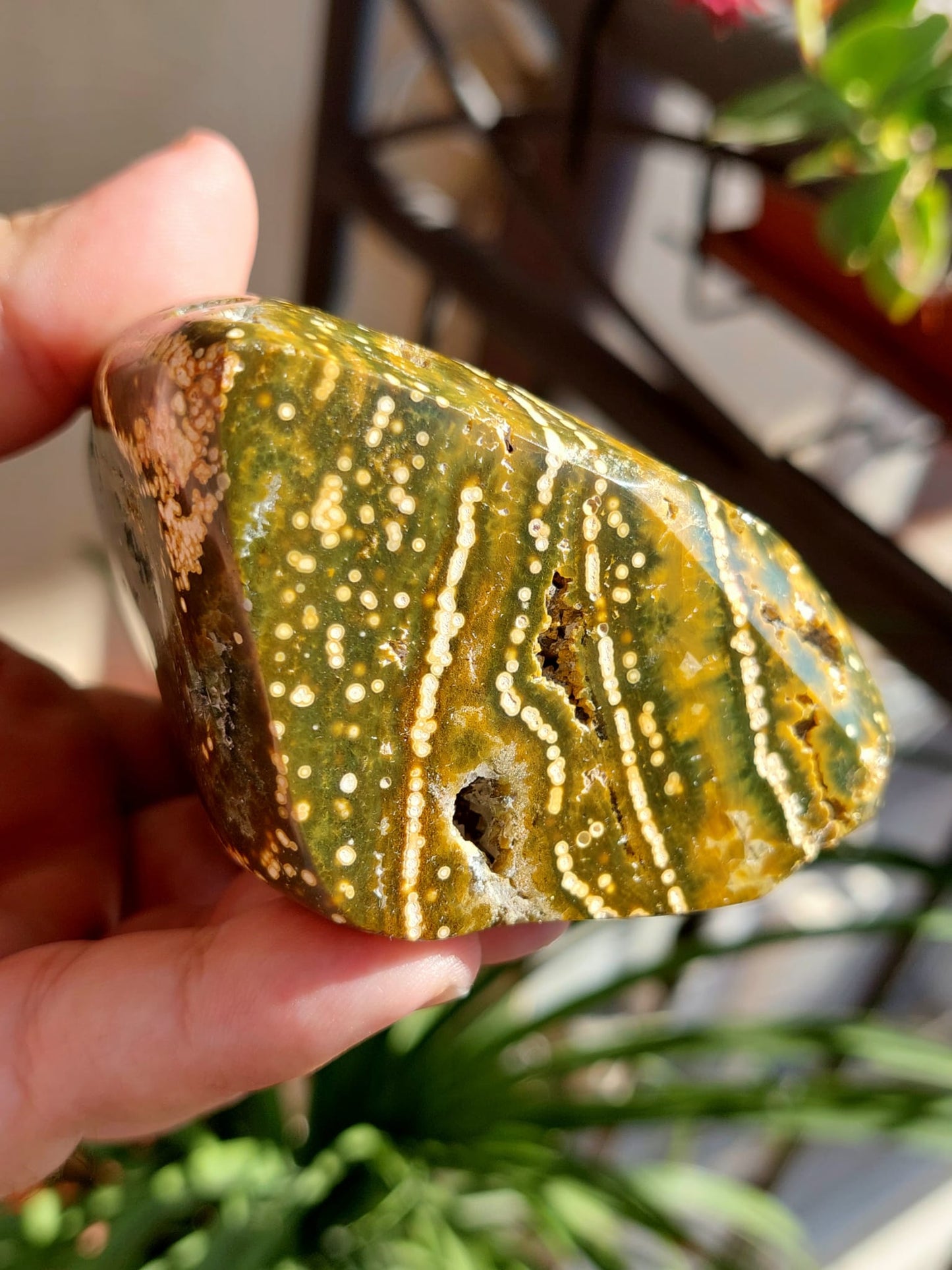 Diaspro Oceano(Orbicolare) freeform