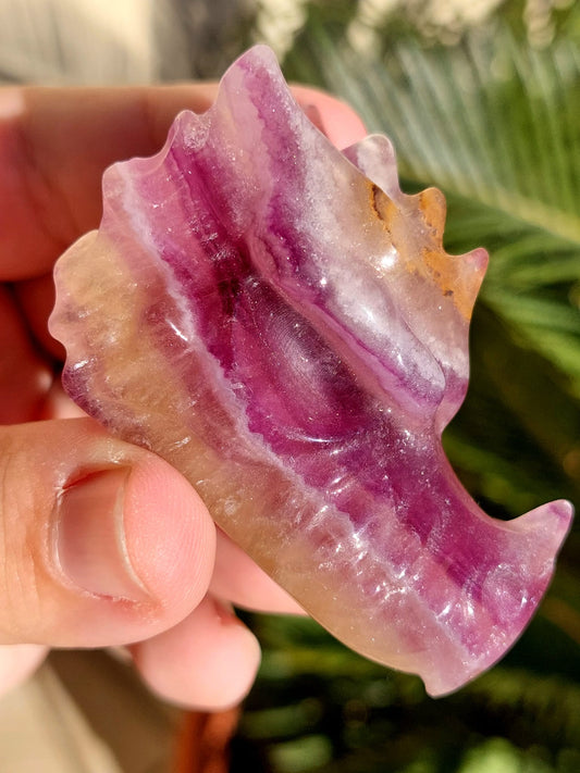 Testa Drago Fluorite - 5,9 cm