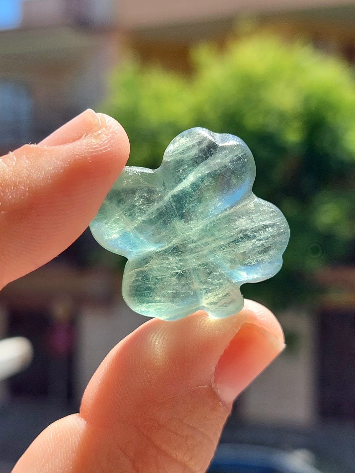 Fluorite quadrifoglio - 2,6/2,8 cm - 1 Pz
