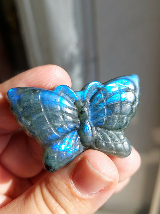 Labradorite farfalla - 5 cm