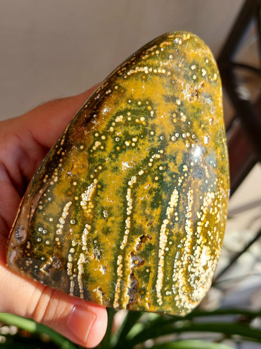 Diaspro Oceano(Orbicolare) freeform