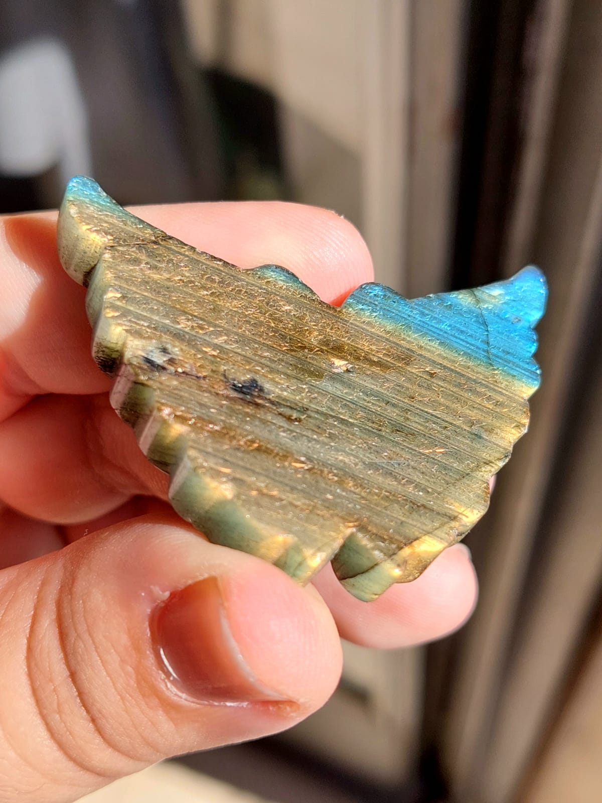 Labradorite farfalla - 5 cm