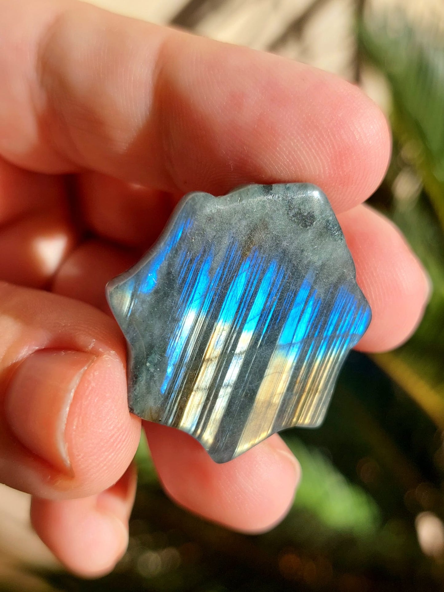 Labradorite ragno su ragnatela - 3,1 cm