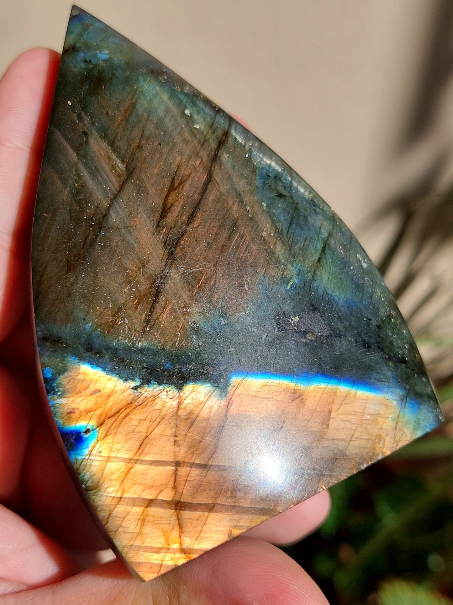 Labradorite freeform