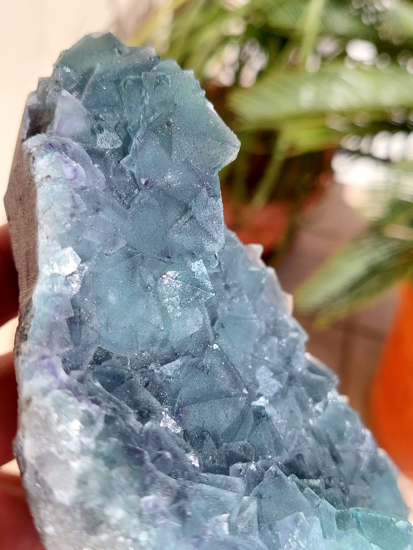 Fluorite Specimen XL