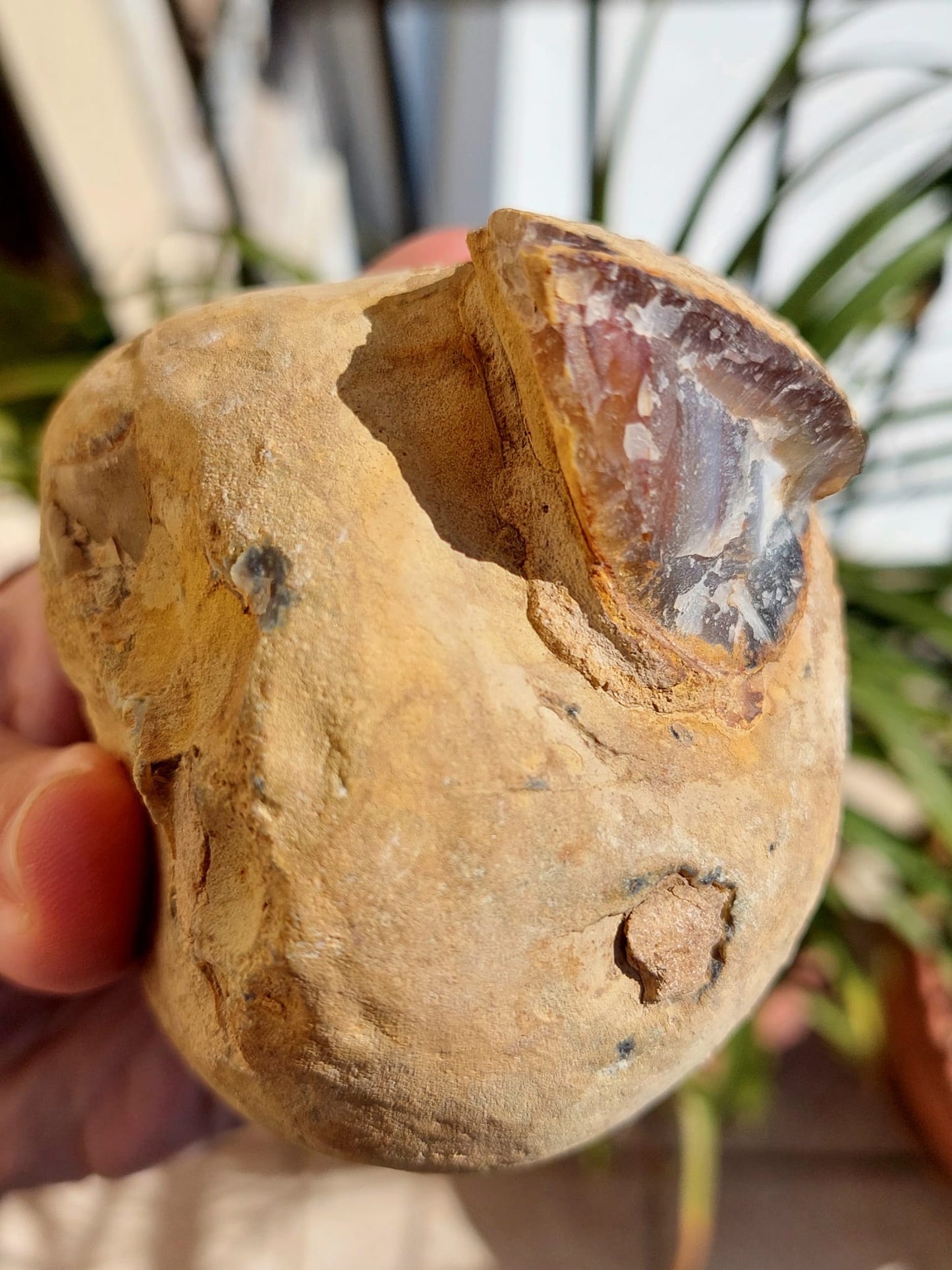 Geode Agata - 8 cm