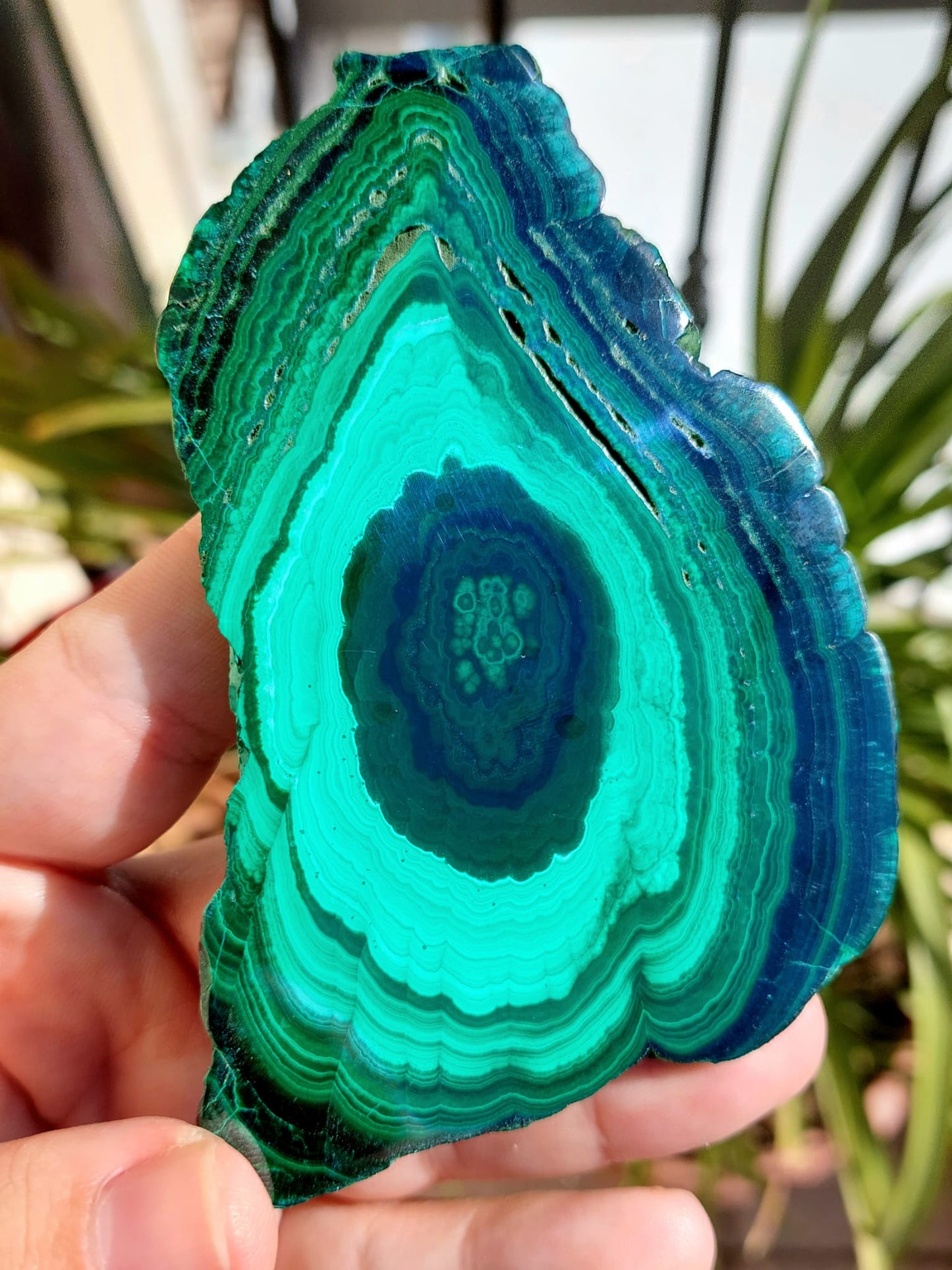 Fetta Malachite