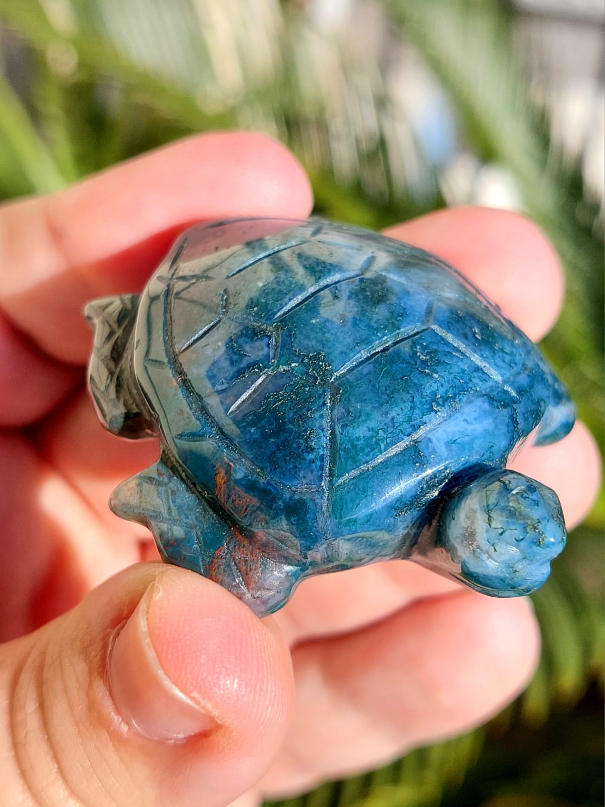 Agata Muschiata tartaruga - 5,5 cm