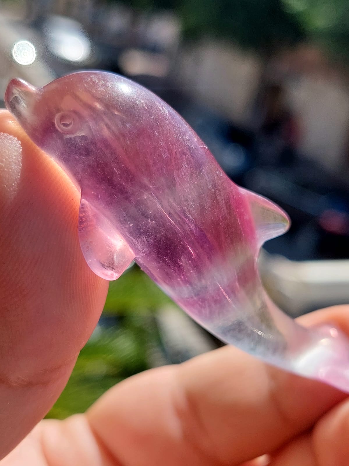 Fluorite delfino - 6,9 cm