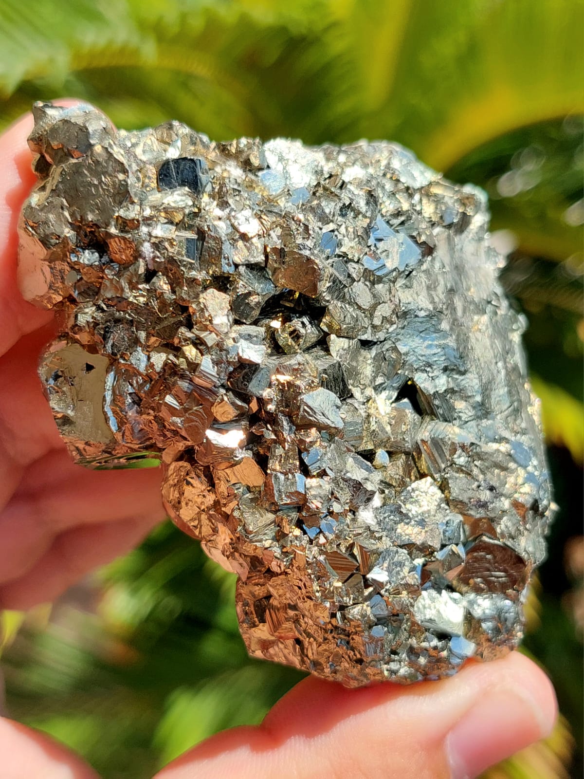 Cluster Pirite