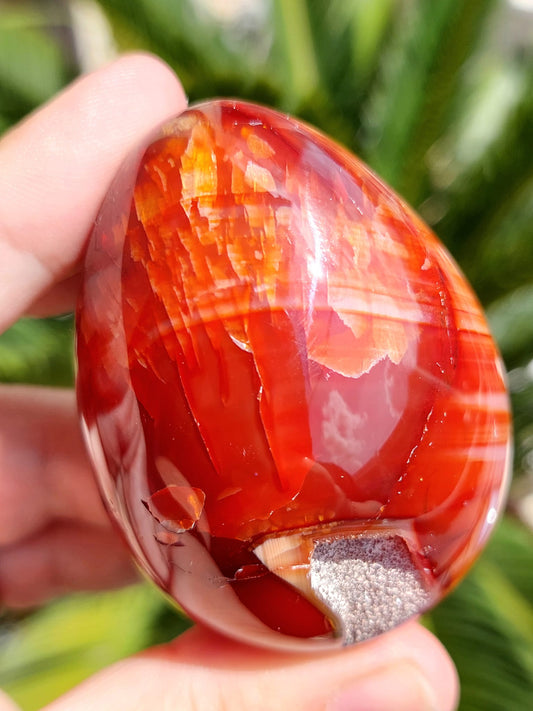 Agata Corniola Uovo - 6 cm