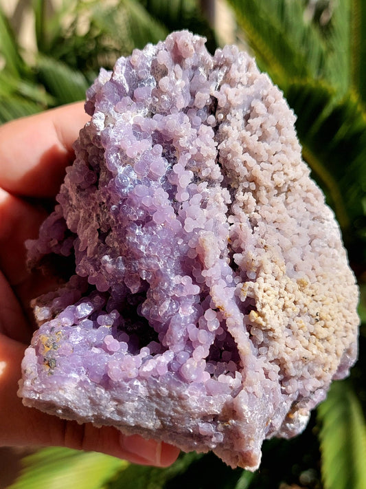 Agata Grappolo freeform