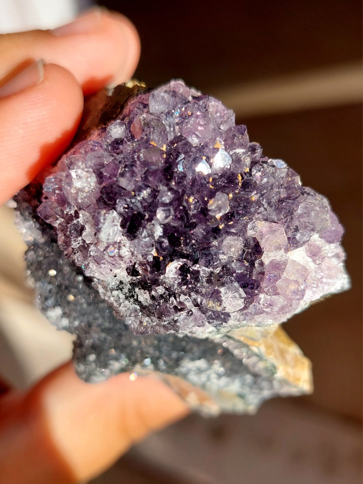 Drusa Ametista nera/viola intenso