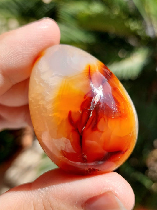 Agata Corniola ovetto - 4,5 cm