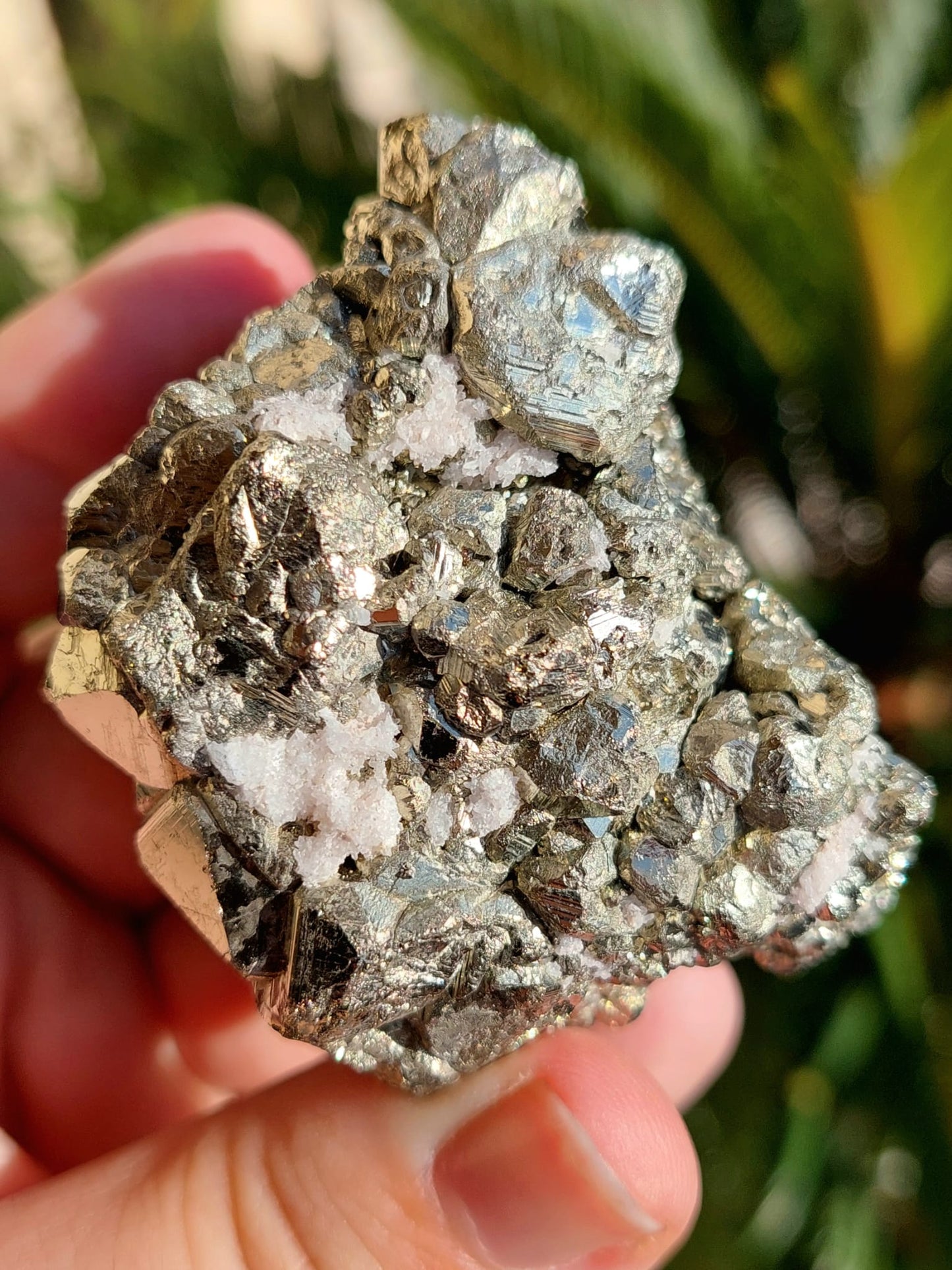 Cluster Pirite