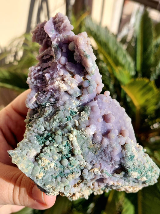 Agata Grappolo freeform