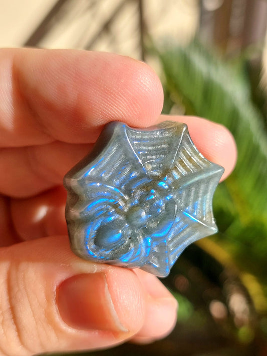 Labradorite ragno su ragnatela - 3,1 cm