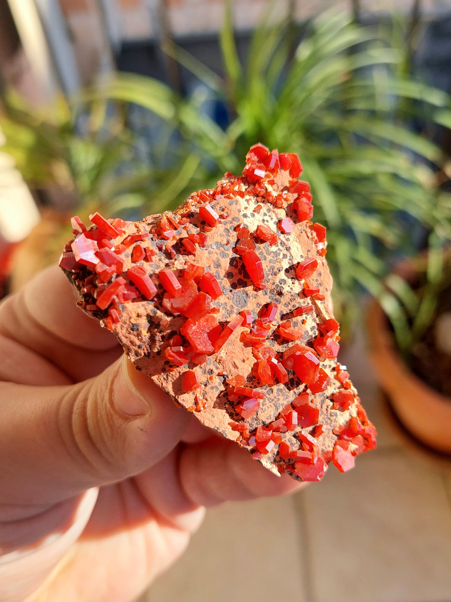 Vanadinite