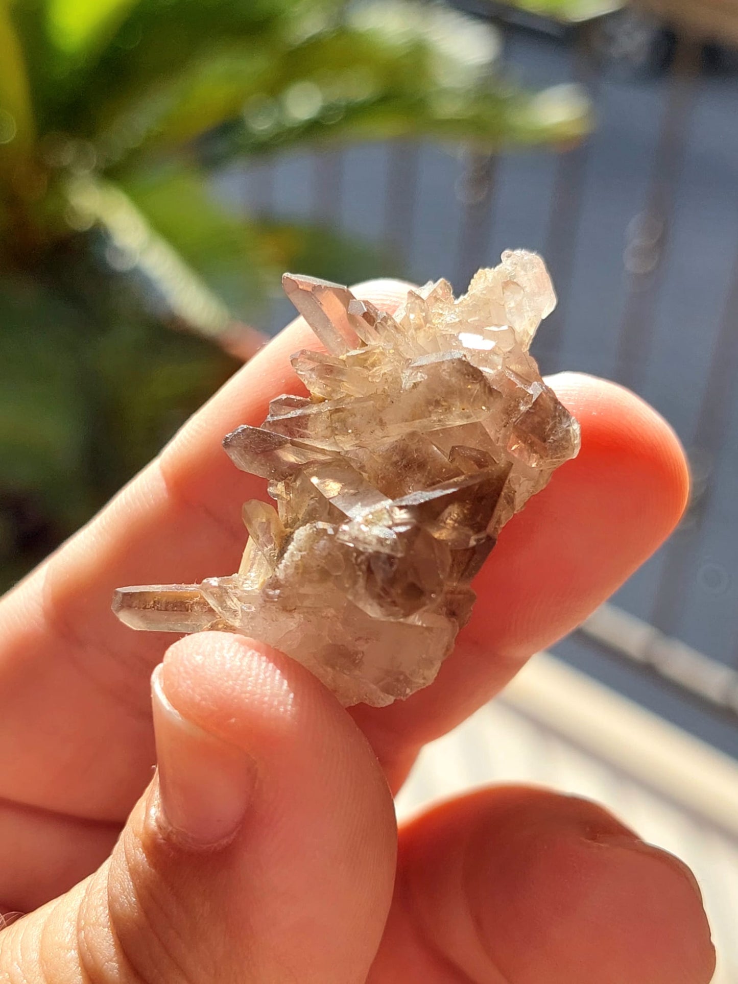 Quarzo Fumè mini Cluster