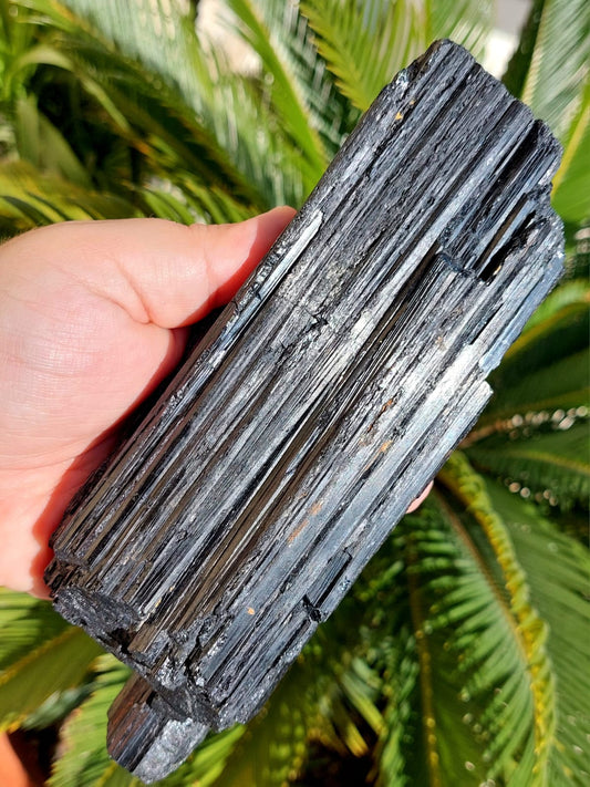 Tormalina nera grezza XL - 19 cm