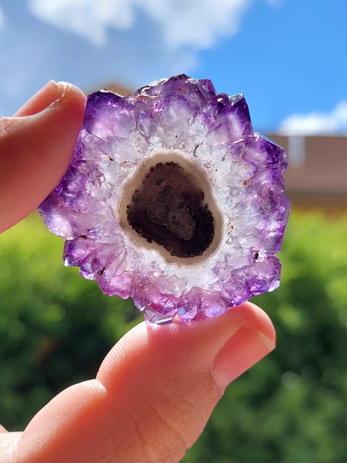 Ametista Stalattite/Fiore