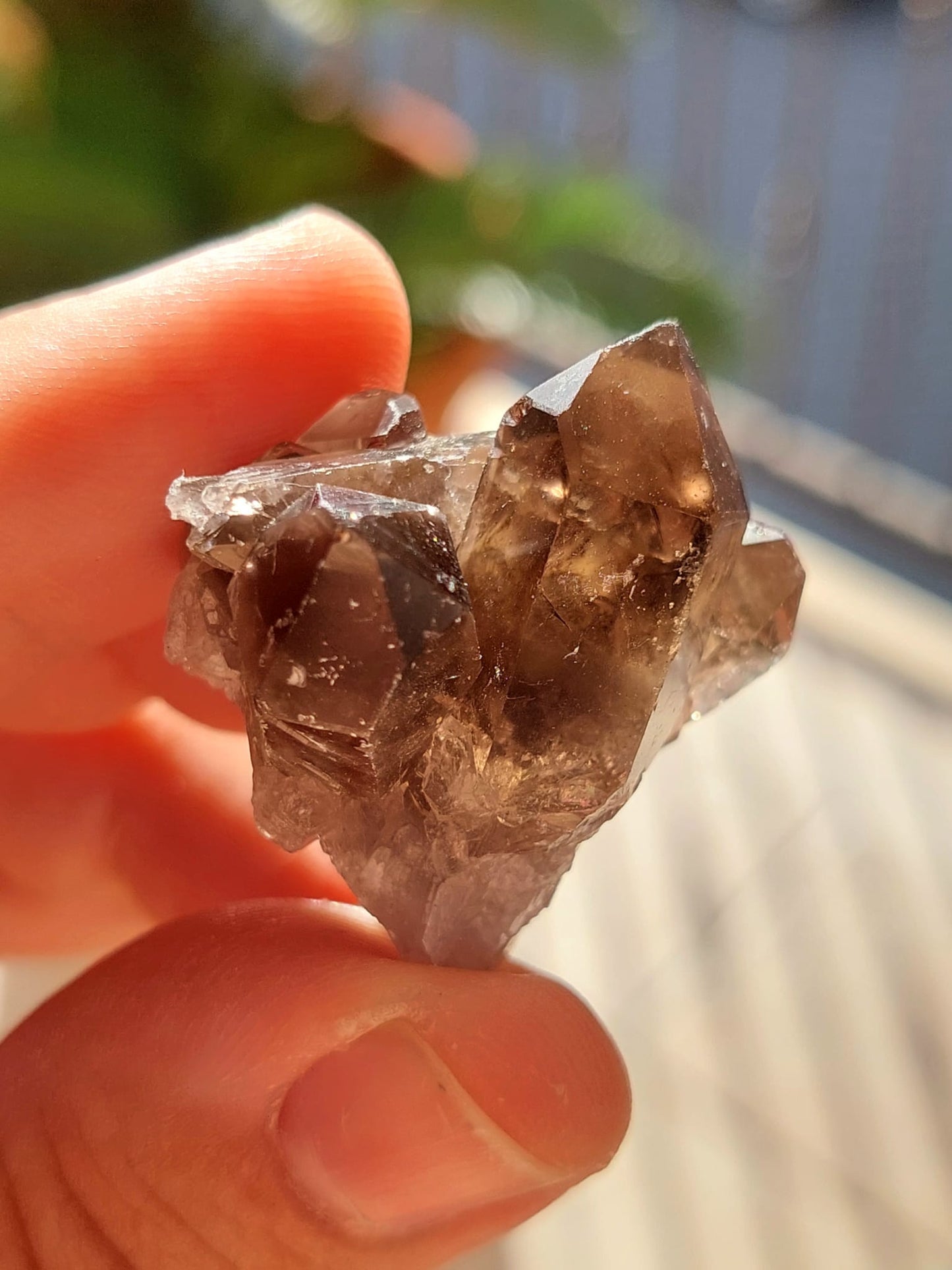 Quarzo Fumè mini Cluster