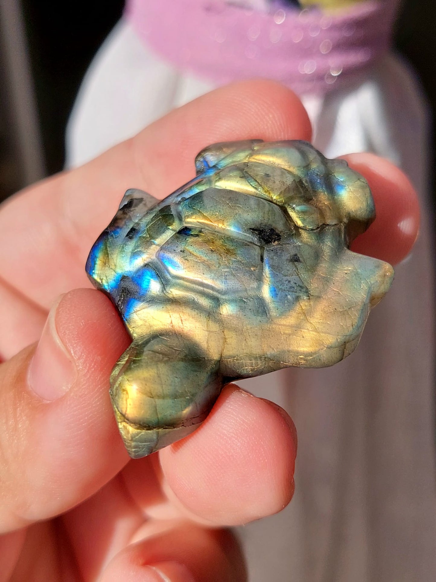 Labradorite mini tartaruga - 4,7 cm