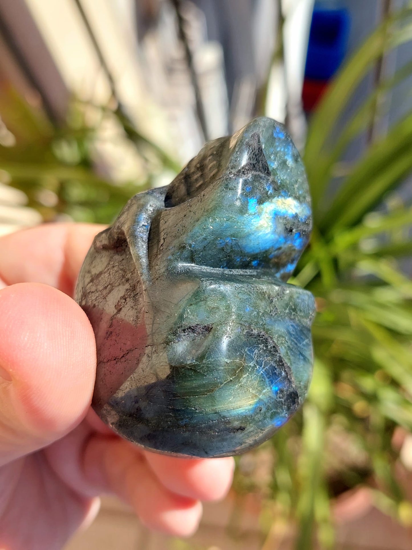 Labradorite teschio - 5,5 cm