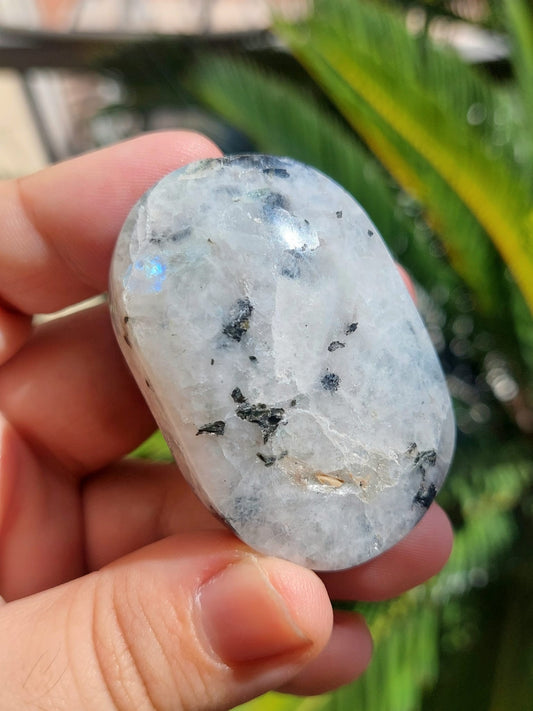 Labradorite bianca palmstone