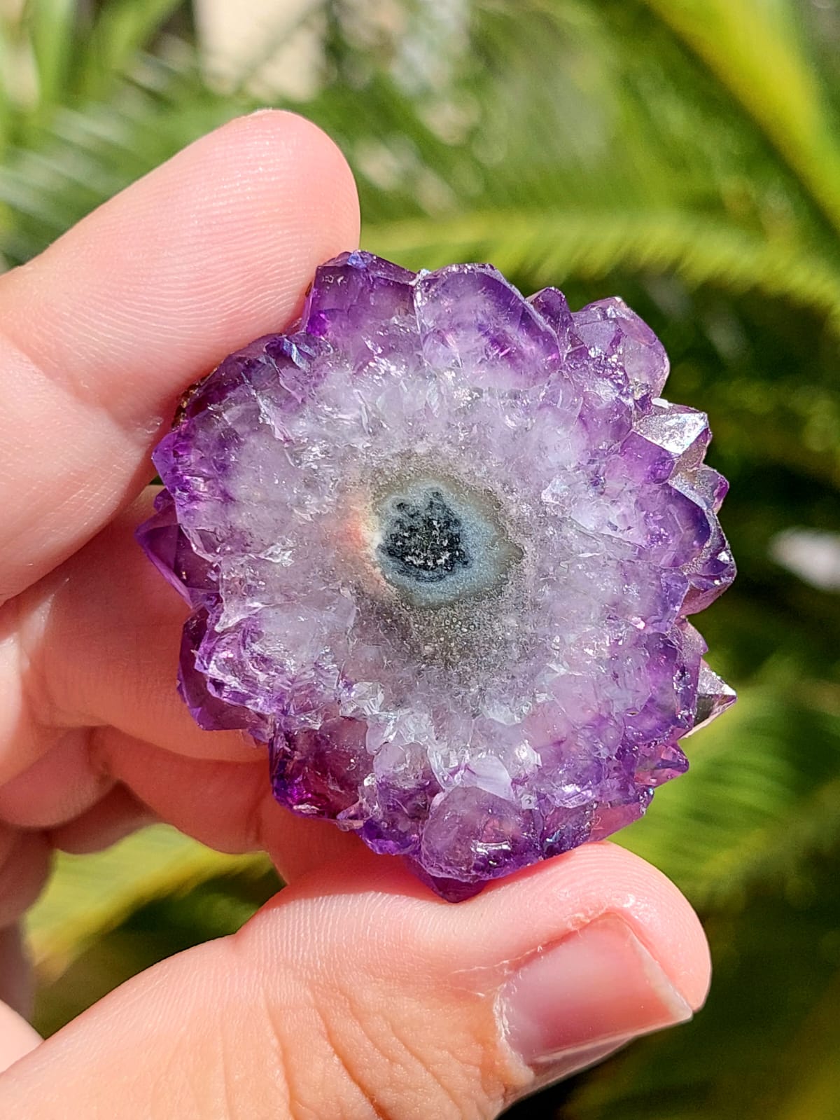 Ametista Stalattite/Fiore