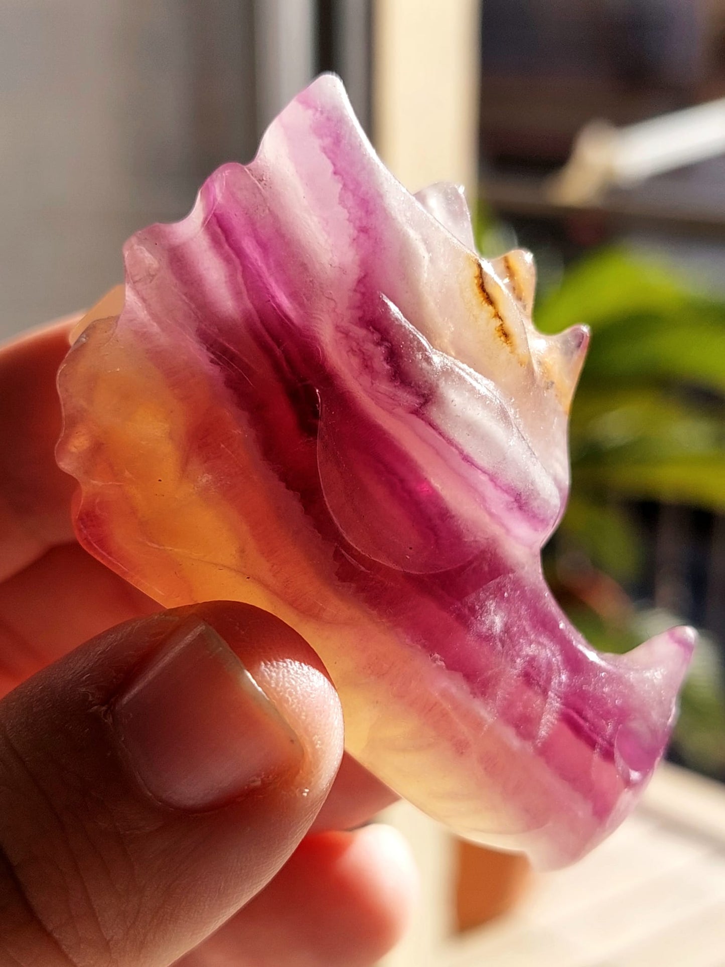 Testa Drago Fluorite - 5,9 cm