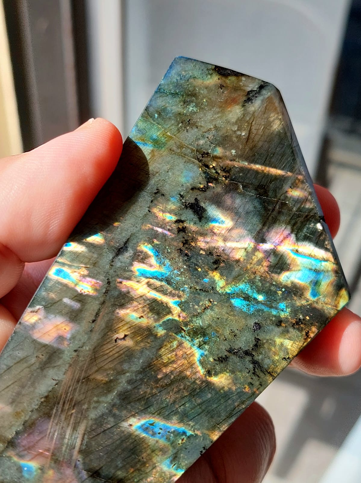 Labradorite/Spectrolite freeform