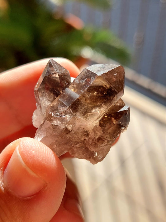 Quarzo Fumè mini Cluster