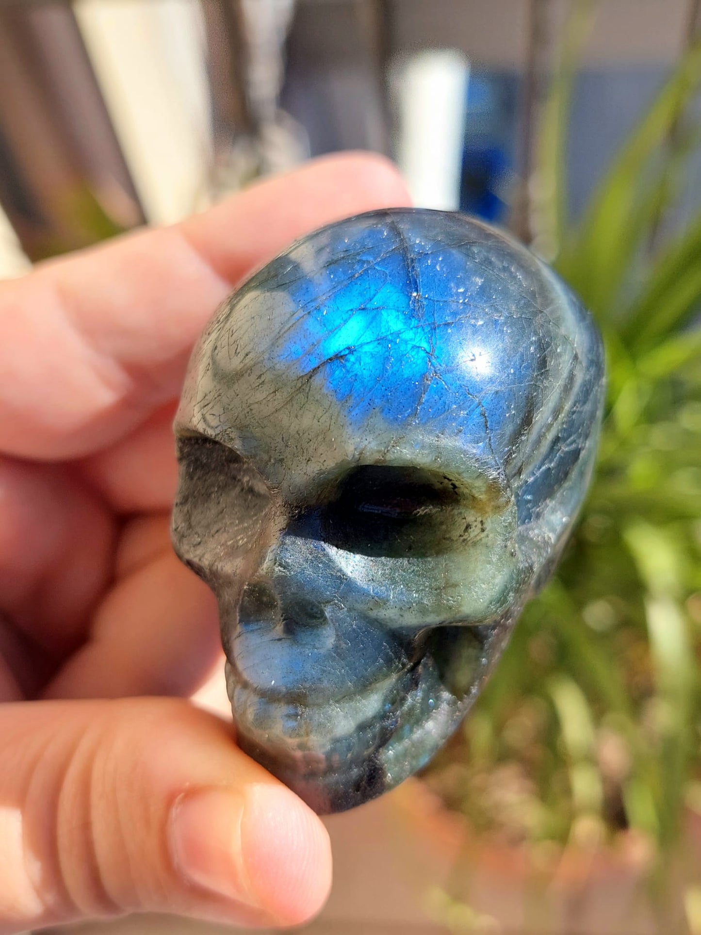 Labradorite teschio - 5,5 cm