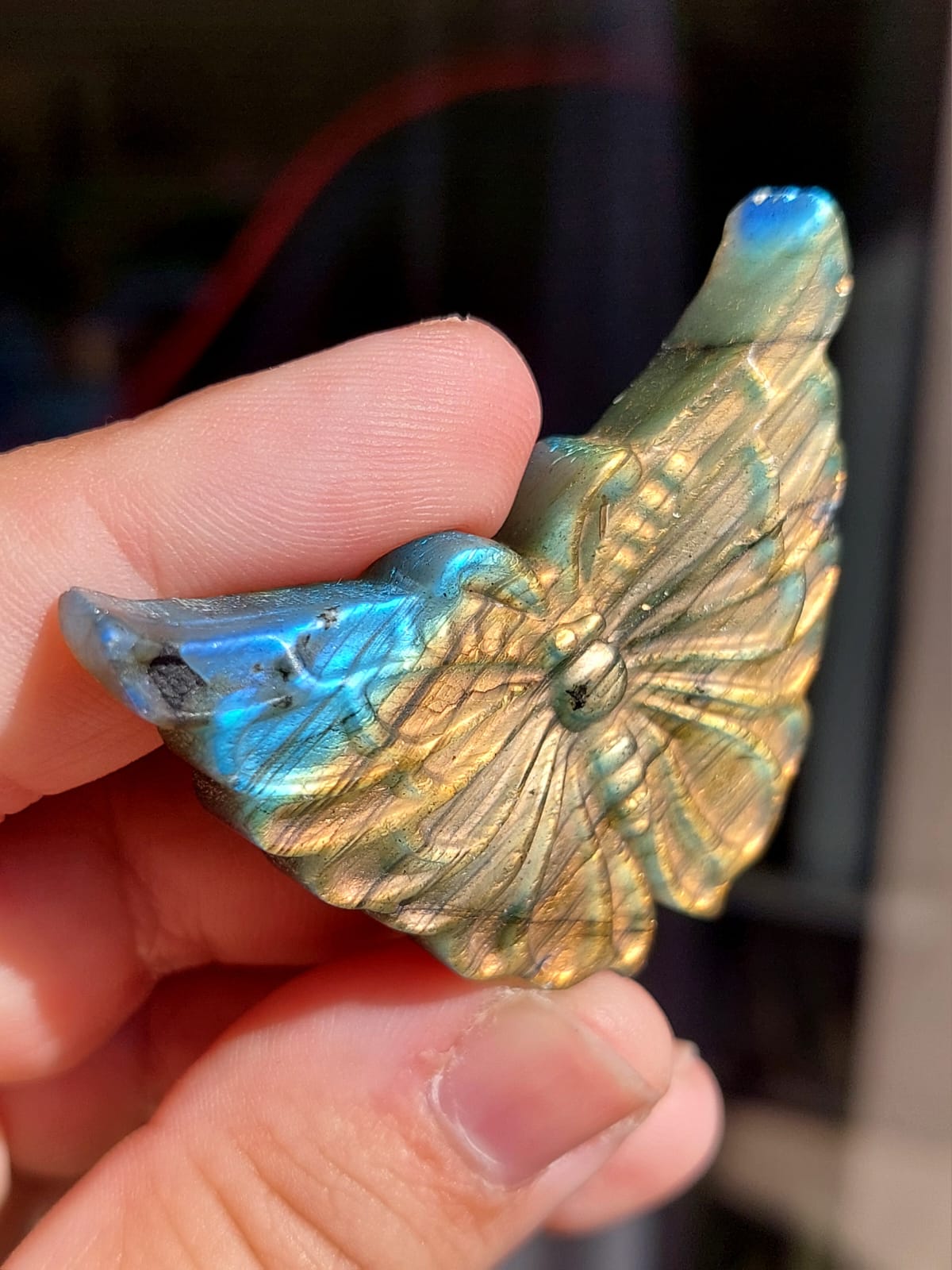 Labradorite farfalla - 5 cm