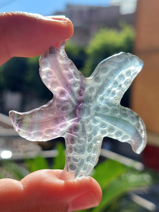 Fluorite Stella Marina - 5,4 cm