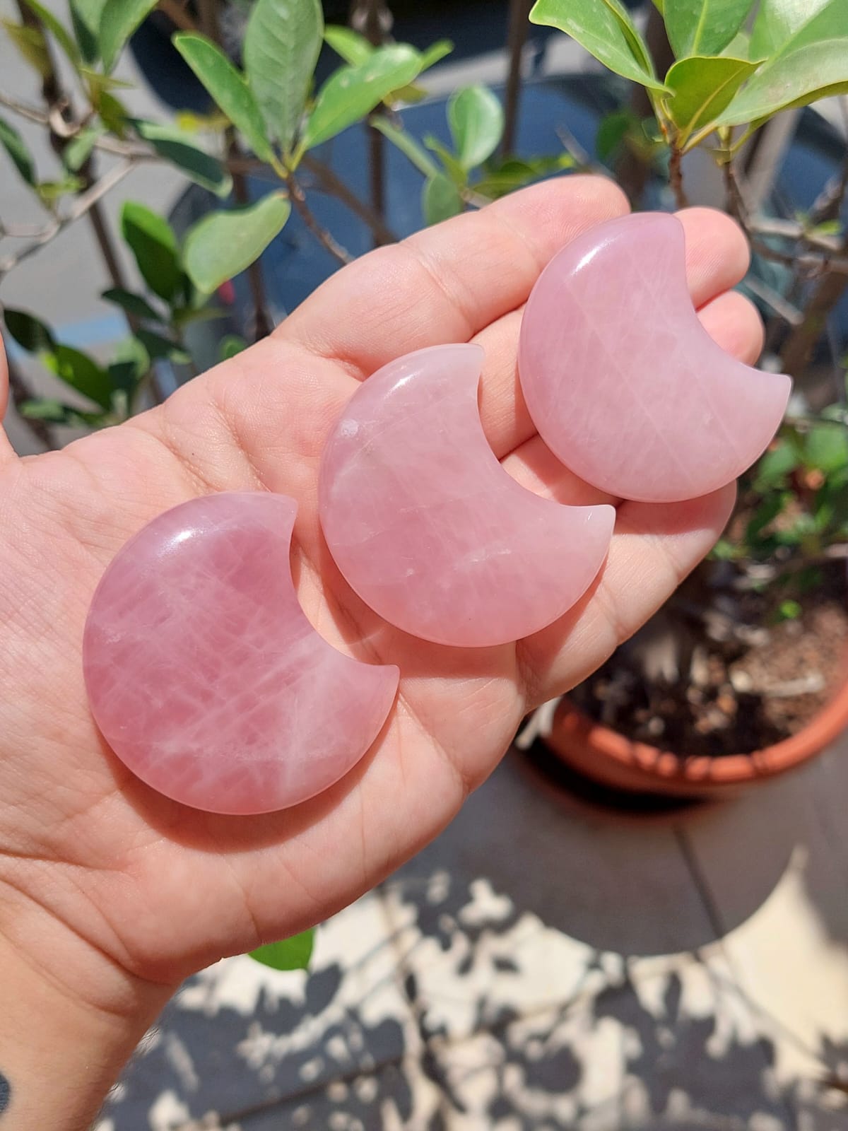 Quarzo rosa Luna - 5 cm - 1 Pz