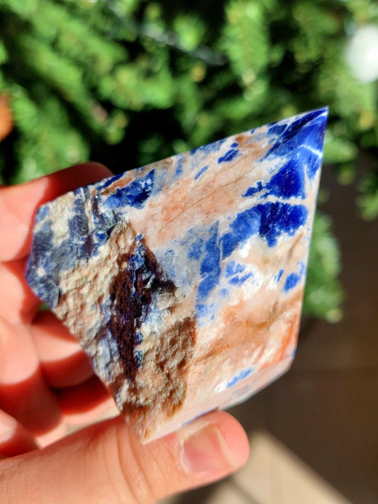 Punta semi grezza Sodalite