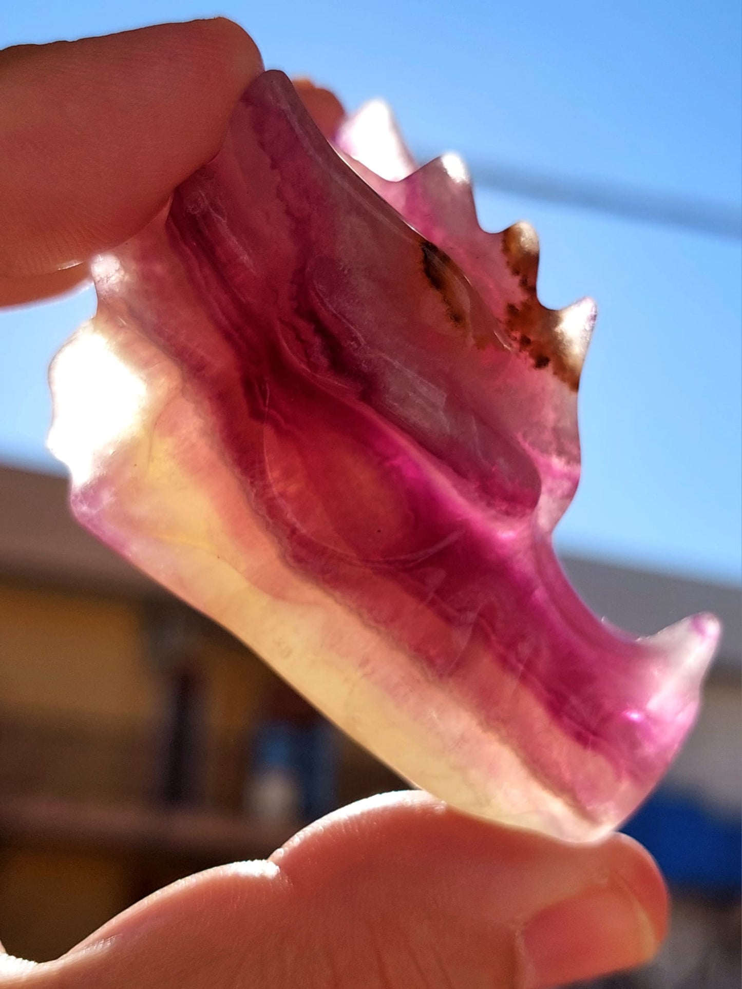 Testa Drago Fluorite - 5,9 cm