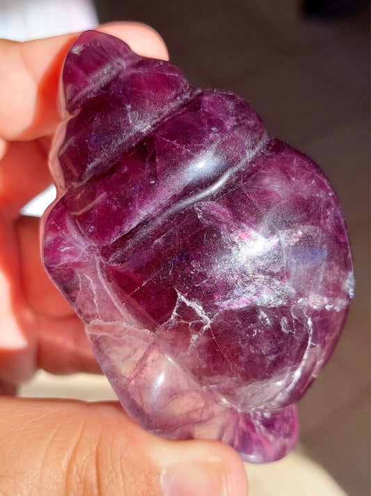 Fluorite conchiglia - 9 cm