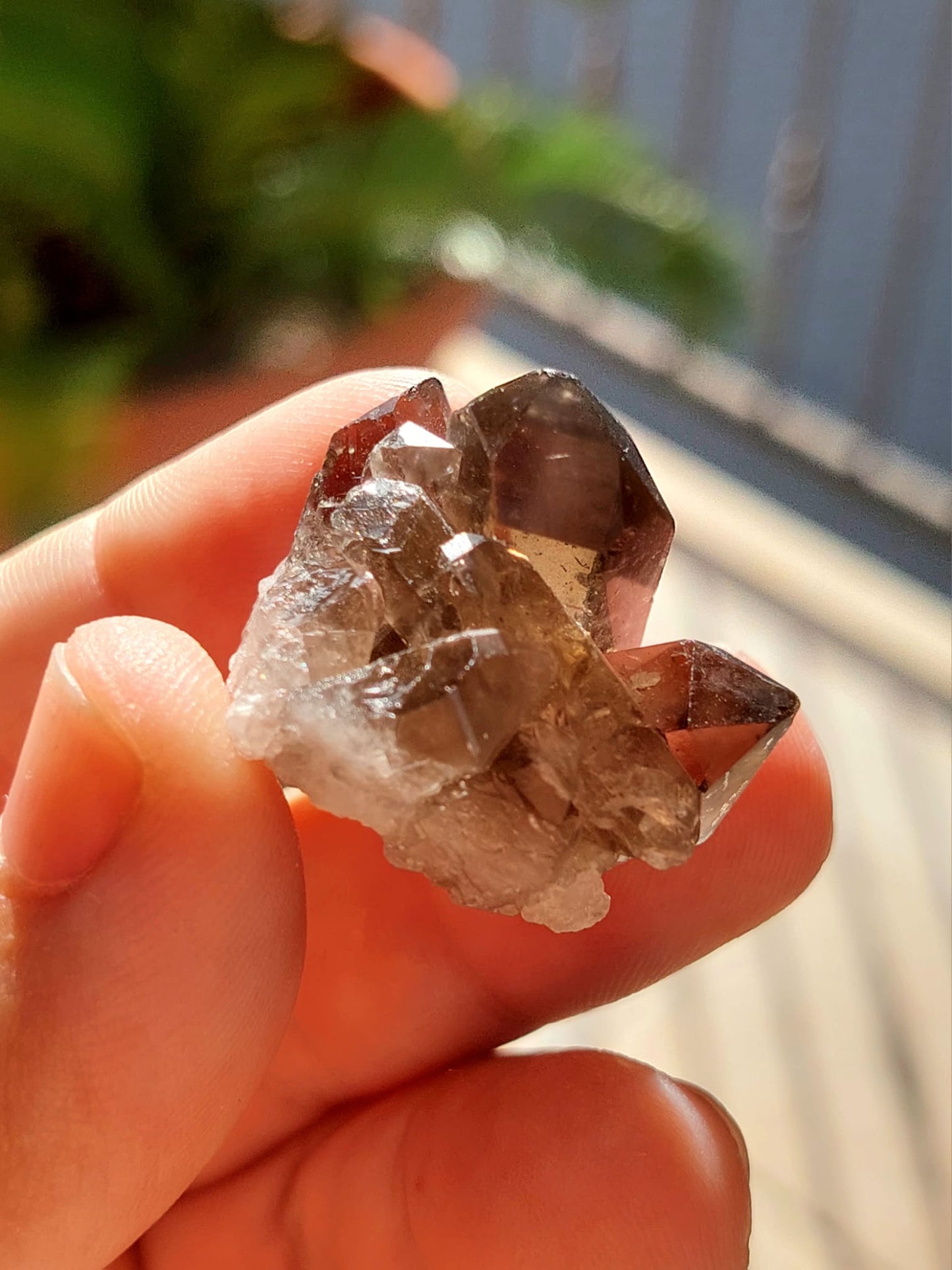 Quarzo Fumè mini Cluster