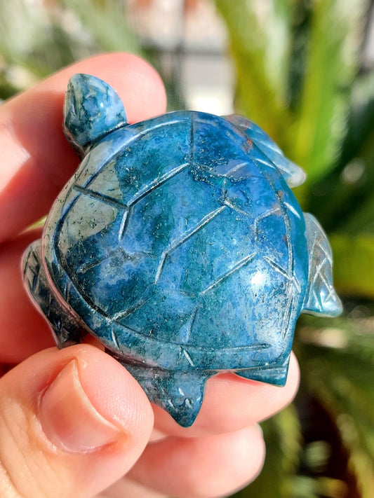 Agata Muschiata tartaruga - 5,5 cm