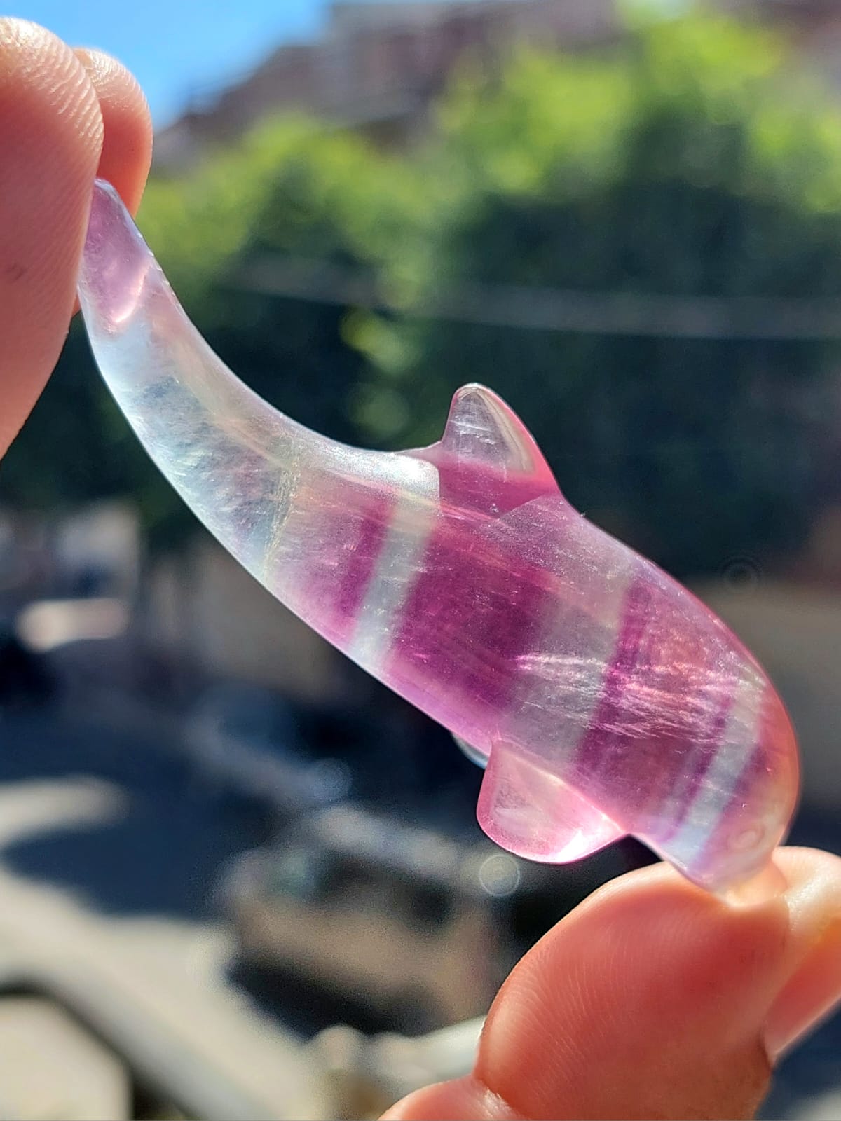 Fluorite delfino - 6,9 cm