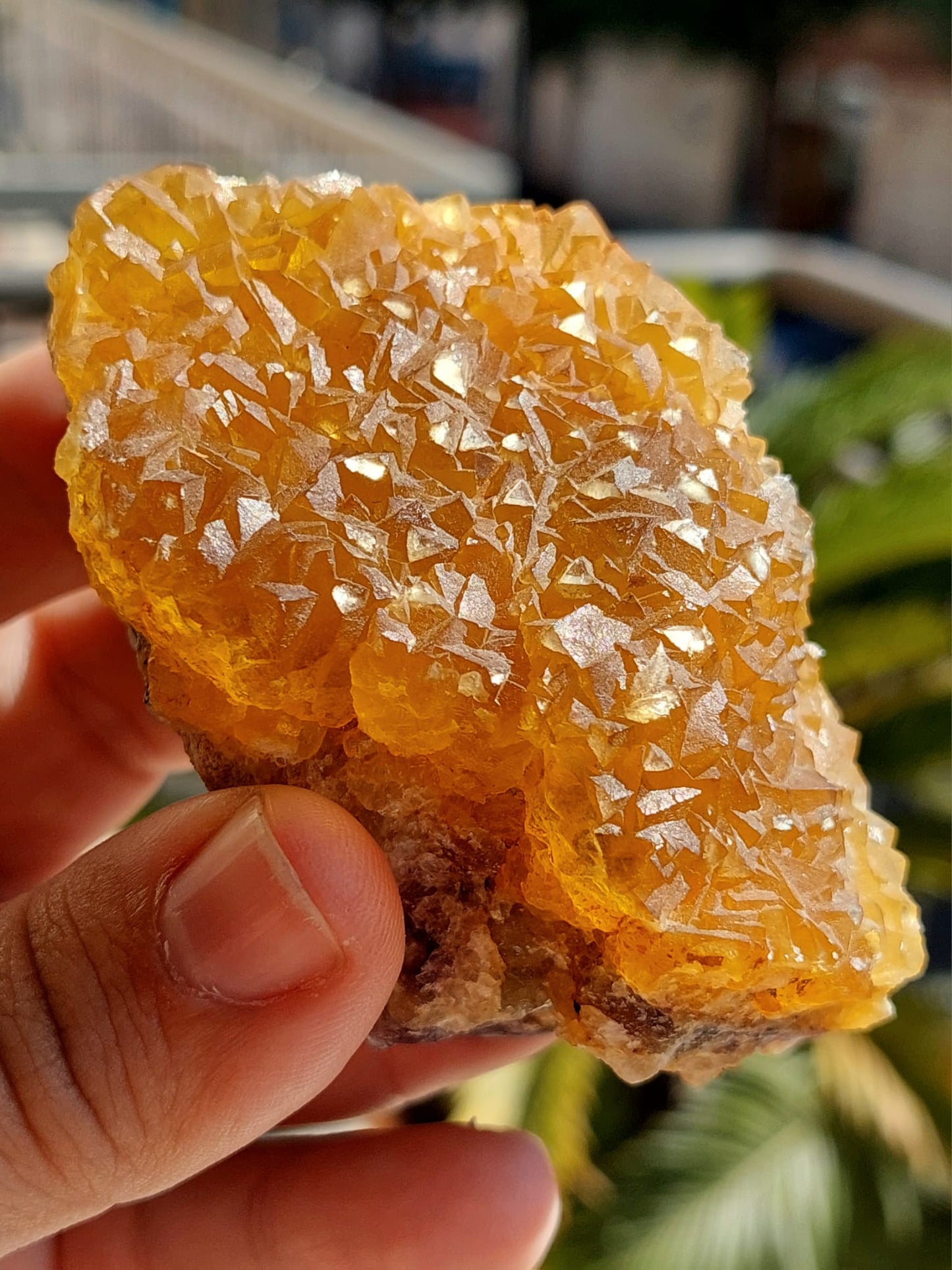 Fluorite grezza cubica