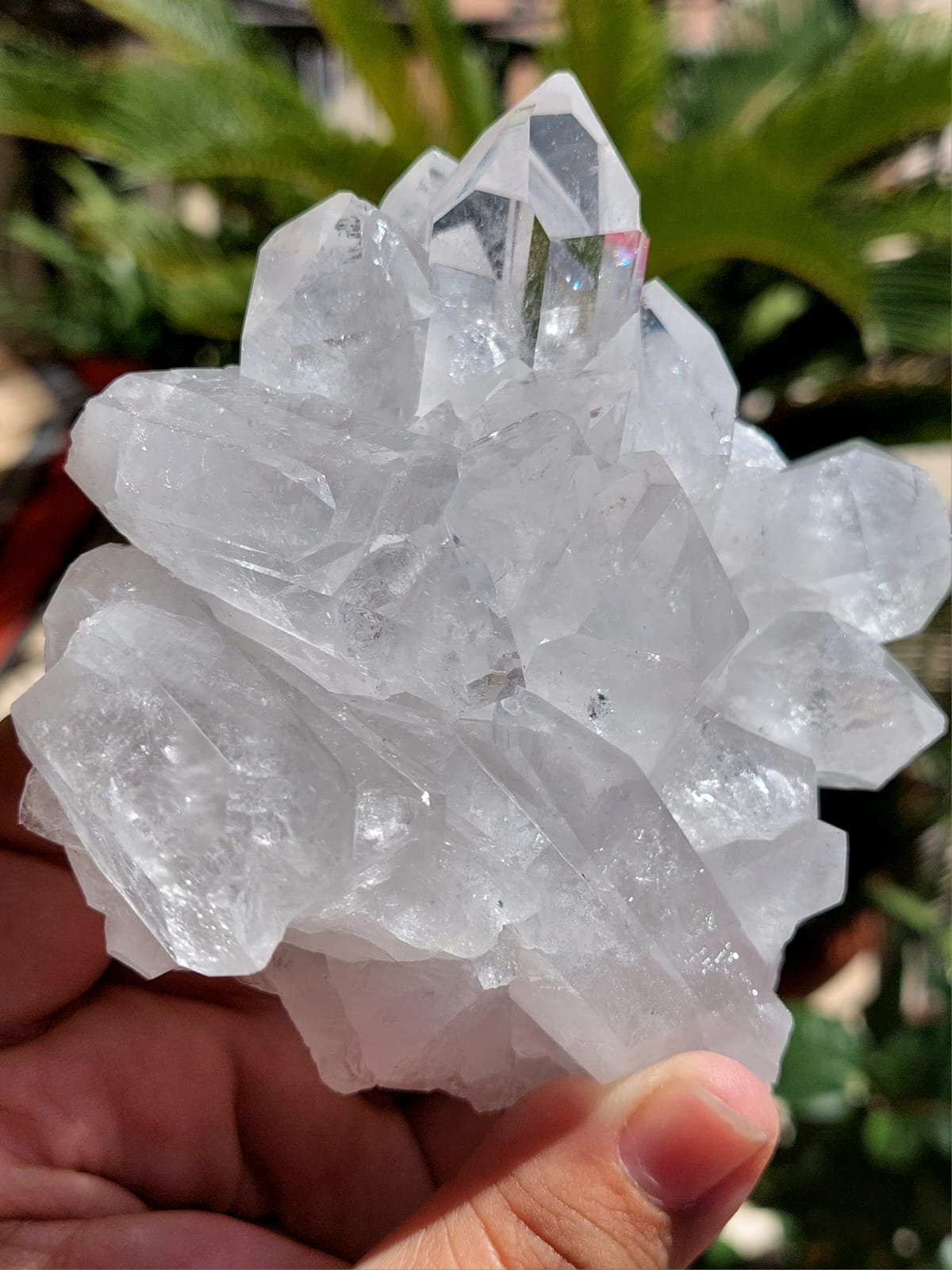 Cluster Quarzo Ialino